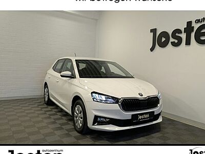 Skoda Fabia 1.0l MPI 59kW Selection 5 Türen