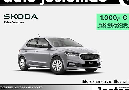 Skoda Fabia 1.0l TSI 70kW Selection 5 Türen