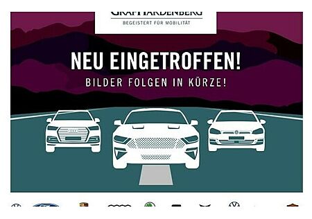 Audi RS Q8 TFSI quattro tiptronic 5 Türen