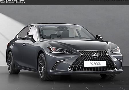 Lexus ES 300h Business Line Automatik 4 Türen