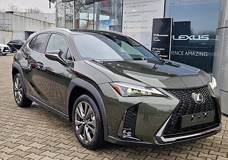 Lexus UX 300h F Sport Design 5 Türen