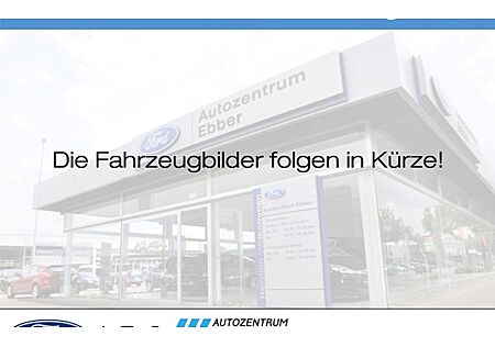 Ford Tourneo Custom 320 L1H1 2,0TDCi 96kW Trend 5 Türen