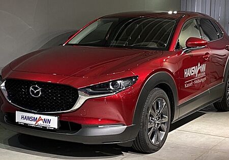 Mazda CX-30 e-SKYACTIV X M-Hybrid 186 Exclusive-line 5 Türen