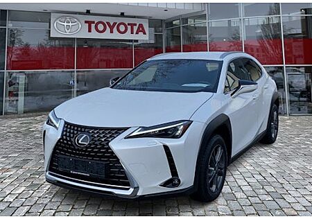 Lexus UX 250h Style Edition 5 Türen