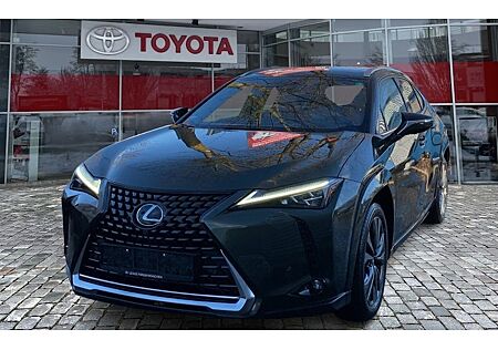 Lexus UX 250h Luxury Line 5 Türen