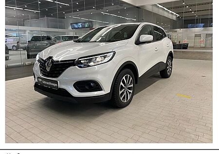 Renault Kadjar TCe 140 GPF Zen 5 Türen