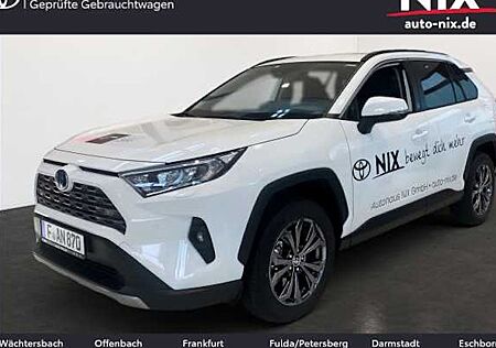 Toyota RAV 4 2.5 Hybrid Team Deutschland Auto 5 Türen