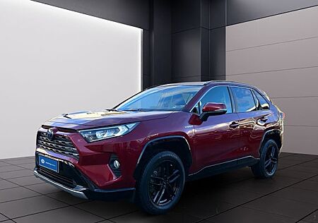 Toyota RAV 4 2.5 Hybrid Team Deutschland Auto AWD 5 Türen