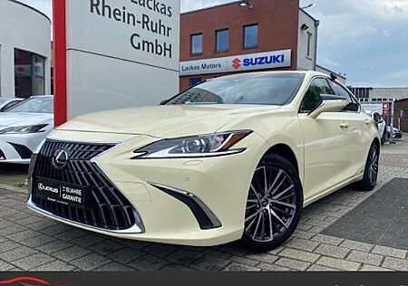 Lexus Andere 300h Business Line Automatik 4 Türen