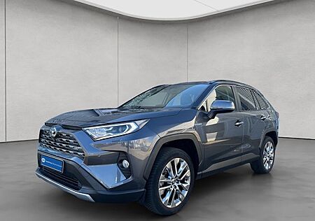 Toyota RAV 4 2.5 Hybrid Lounge Auto 5 Türen