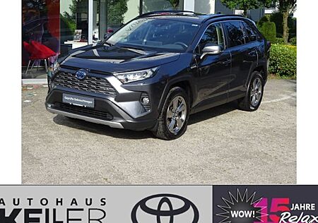 Toyota RAV 4 2.5 Hybrid Team Deutschland Auto AWD 5 Türen