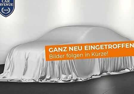 Renault Trafic Combi Blue dCi 170 EDC Spaceclass 5 Türen