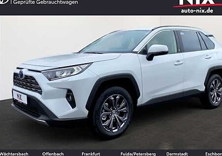 Toyota RAV 4 2.5 Hybrid Team Deutschland Auto 5 Türen