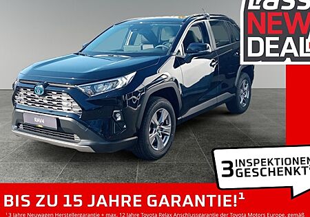 Toyota RAV 4 2.5 Hybrid Business Edition Auto 5 Türen