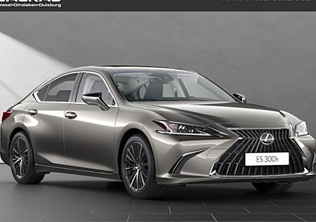 Lexus ES 300h Business Line Automatik 4 Türen