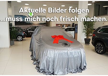Skoda Elroq RS 5 Türen