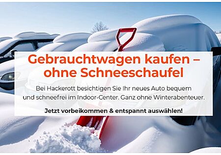 Cupra Formentor 2.0 TSI 245kW VZ DSG 4Drive 5 Türen