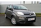 Fiat Panda 1.0 GSE Hybrid 5 Türen