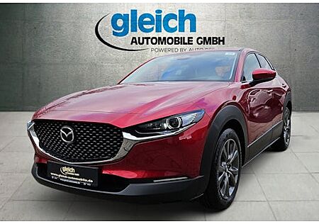Mazda CX-30 e-SKYACTIV X M-Hybrid 186 AWD Excl.-l AT 5 Türen