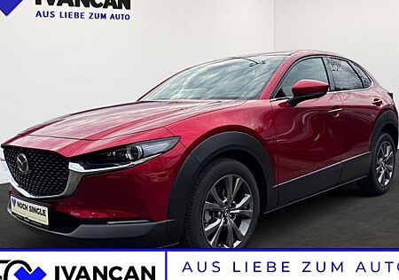 Mazda CX-30 e-SKYACTIV X M-Hybrid 186 Takumi AT 5 Türen