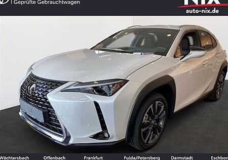 Lexus UX 250h Executive Line 5 Türen