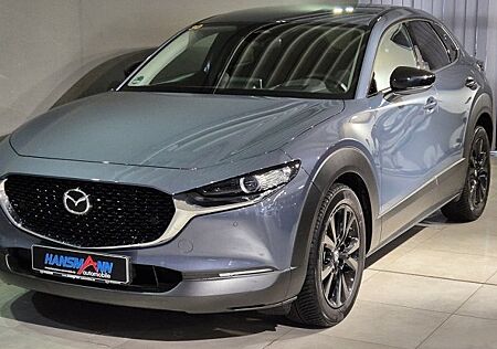 Mazda CX-30 e-SKYACTIV-X M-Hybrid Homura A 5 Türen