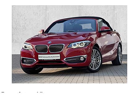 BMW 2er 220d Cabrio Luxury Line 2 Türen