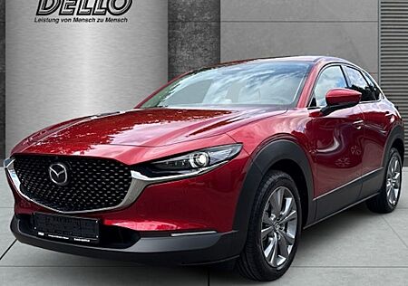 Mazda CX-30 e-SKYACTIV-G M-Hybrid 140 Exclusive-l AT 5 Türen