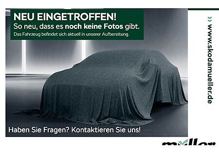 Skoda Kodiaq 2.0l TDI DSG 4x4 TOUR 5 Türen