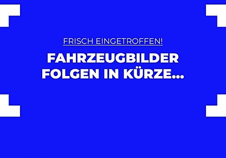 Ford EcoSport 1,0 EcoBoost 92kW Titanium 5 Türen
