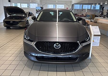 Mazda CX-30 e-SKYACTIV X M-Hybrid 186 Homura AT 5 Türen