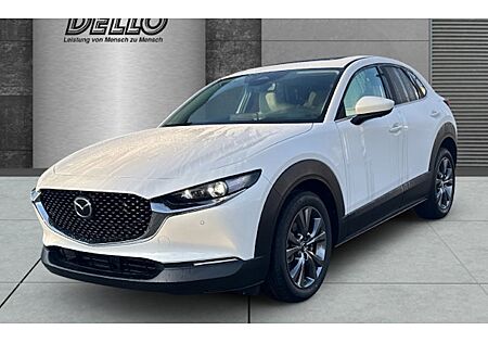 Mazda CX-30 e-SKYACTIV X M-Hybrid 186 AWD Takumi AT 5 Türen