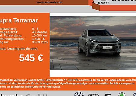 Cupra Terramar 2.0 TSI 195kW AM. CUP L. ED. DSG 4Drive 5 Türen