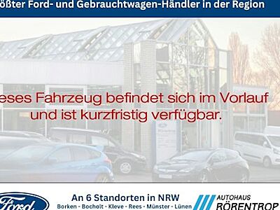 Ford Ranger Raptor 2,0 TDCi 156kW Doppelk. 4x4 Raptor Auto 4 Türen