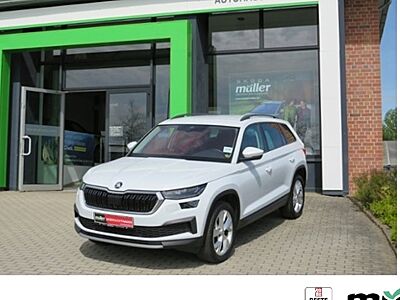 Skoda Kodiaq 2.0l TDI DSG 4x4 TOUR 5 Türen