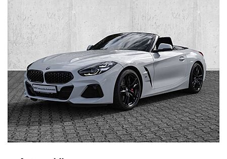 BMW Z4 sDrive20i Sport Line 2 Türen
