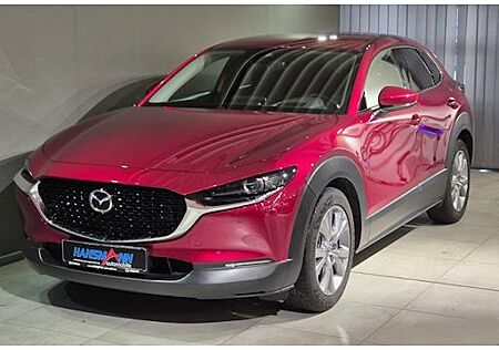 Mazda CX-30 2.0 e-SKYACTIV-G M-Hybrid Selection 5 Türen