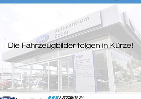 Ford Tourneo Custom 320 L1H1 2,0TDCi 96kW Trend 5 Türen