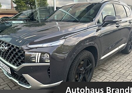 Hyundai Santa Fe 2.2 CRDi Signature 4WD DCT 6Sitzer 5 Türen