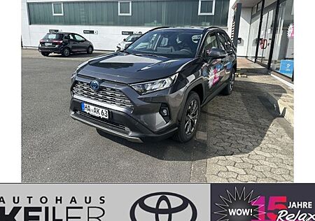 Toyota RAV 4 2.5 Hybrid Team Deutschland Auto AWD 5 Türen