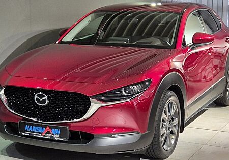 Mazda CX-30 2.0 SKYACTIV-X M-Hybrid Edition 100 5 Türen