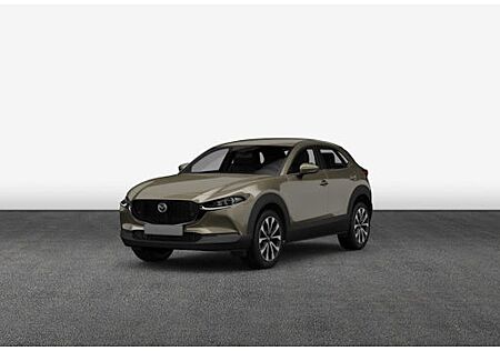 Mazda CX-30 e-SKYACTIV-G M-Hybrid 140 Homura 5 Türen