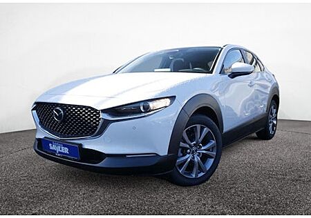 Mazda CX-30 e-SKYACTIV-G M-Hybrid 140 Nagisa 5 Türen
