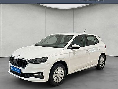 Skoda Fabia 1.0l MPI 59kW Selection 5 Türen