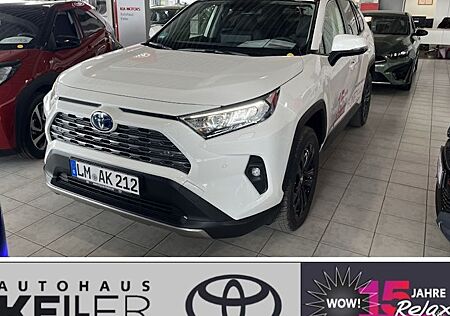 Toyota RAV 4 2.5 Hybrid Team Deutschland Auto 5 Türen
