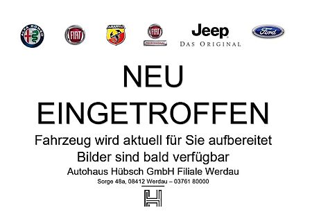 Fiat 500 1.0 FireFly Hybrid Torino 3 Türen