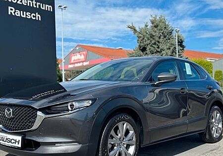 Mazda CX-30 2.0 e-SKYACTIV-G M-Hybrid Selection 5 Türen