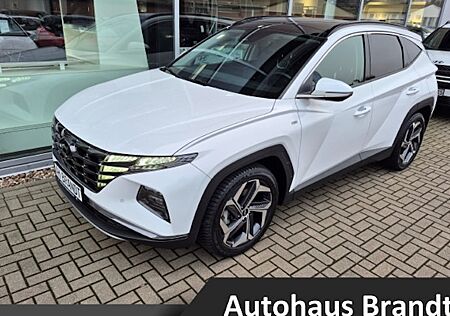 Hyundai Tucson 1.6 CRDi 100kW 48V Prime DCT 4WD 5 Türen