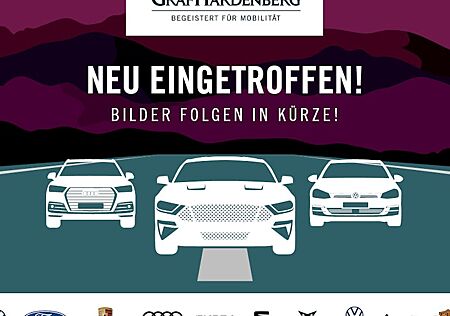 VW Golf R 2.0 TSI OPF 4MOTION 245kW DSG R Bl.Ed. 5 Türen