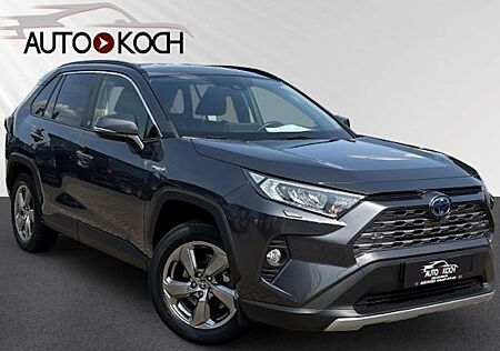 Toyota RAV 4 2.5 Hybrid Team Deutschland Auto 5 Türen